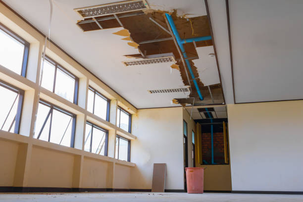 Best Basement water damage restoration  in Hastings, MI