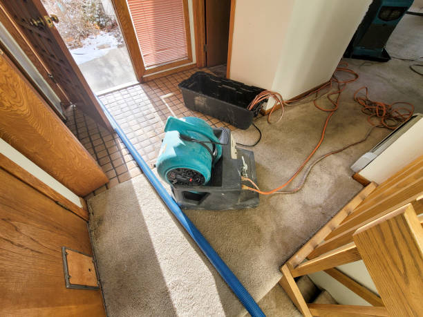 Best Mold removal after water damage  in Hastings, MI