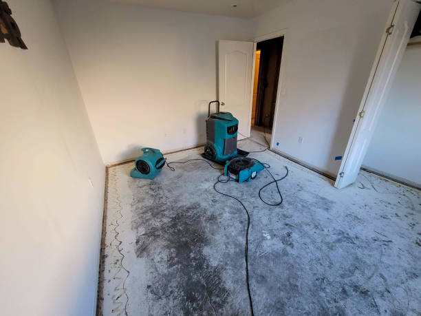 Best Fire Damage Restoration  in Hastings, MI