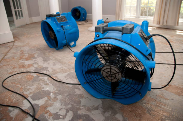  Hastings, MI Water damage restoration Pros