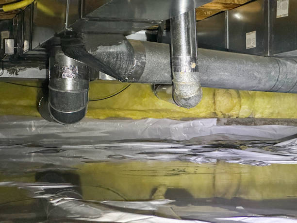 Best Ceiling water damage repair  in Hastings, MI