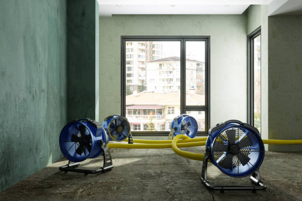 Best 24/7 water damage repair  in Hastings, MI